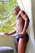 Foto Annunci Boy Lugano Henrico Black Brasiliano 0041 767905209 - 1