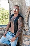 Foto Annunci Boy Pisa Robby Torello 334 1579418 - 42