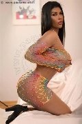 Foto Annunci Escort Torino Maya Hott 379 3558407 - 8