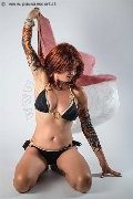 Foto Annunci Girl Bolzano Anita Blond 339 3449676 - 16