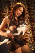 Foto Annunci Girl Verbania Alessa Venezuelana 353 3541305 - 36