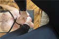 Foto Annunci Mistress Cuneo Julia 376 2329100 - 13