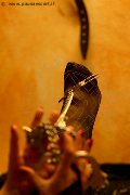Foto Annunci Mistress Marina Di Carrara Lady De Sade Italy 339 2160761 - 6
