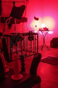 Foto Annunci Mistress Rende Lady De Sade 344 4621714 - 43