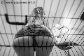 Foto Annunci Mistress Verona Lady Giuliette 348 6833721 - 16