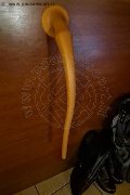 Foto Annunci Mistress Verona Mistress Diana Queen 328 7753444 - 11
