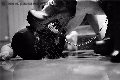 Foto Annunci Mistress Vicenza Madame Jacqueline Domina 388 4822293 - 23