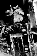 Foto Annunci Mistresstrans Legnano Lady Ale Cavallona 350 8935739 - 1