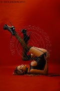Foto Annunci Mistresstrans Michelle Prado 392 8020175 - 3