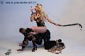 Foto Annunci Mistresstrans Milano Lady Ally Costa 344 6988792 - 12