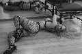 Foto Annunci Mistresstrans Napoli Lady Kika Doncato 393 7317905 - 6