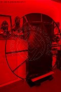 Foto Annunci Mistresstrans Piacenza Jessica Frau Italiana Tx 328 6890815 - 20