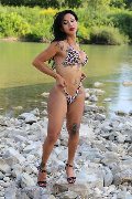 Foto Annunci Trans Adriana Paulett 389 1399263 - 81