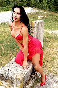 Foto Annunci Trans Adriana Paulett 389 1399263 - 49