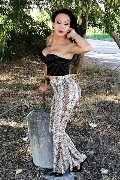 Foto Annunci Trans Adriana Paulett 389 1399263 - 32