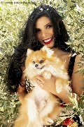Foto Annunci Trans Bologna Ariadna 388 7519396 - 62