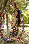 Foto Annunci Trans Bologna Ariadna 388 7519396 - 76
