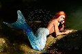 Foto Annunci Trans Bologna Monica Kicelly 324 5833097 - 170