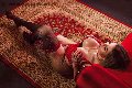 Foto Annunci Trans Catania Isabella Santos 338 1521054 - 43
