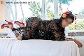 Foto Annunci Trans Firenze Diana Ferraz 327 1287566 - 71