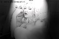 Foto Annunci Trans Francoforte Mary Ts 0049 1751281117 - 7