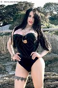 Foto Annunci Trans Gallarate Alessandre Xxii 331 7852006 - 58