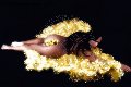 Foto Annunci Trans Genova Naomi Angel 349 1282938 - 125