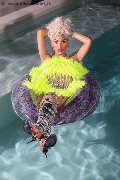 Foto Annunci Trans Ibiza Nina La Divina 0034 617911341 - 85