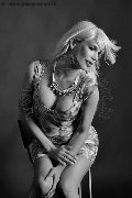Foto Annunci Trans Isernia Brigitte 334 8343377 - 25