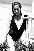 Foto Annunci Trans Liisa Asiatica Ladyboy 348 9026722 - 382