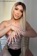 Foto Annunci Trans Milano Angel Bunny 347 4642611 - 1