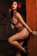 Foto Annunci Trans Milano Barbara Kenps 388 6508553 - 64