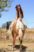 Foto Annunci Trans Milano Leticia Freitas 328 2490865 - 13
