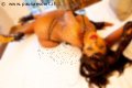 Foto Annunci Trans Milano Maya Venere 393 6122116 - 227