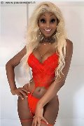 Foto Annunci Trans Milano Virna La Super Dotata 349 4393969 - 2