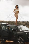 Foto Annunci Trans Modena Vanessa Hilton 324 5846577 - 110