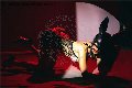 Foto Annunci Trans Modena Vanessa Hilton 324 5846577 - 132