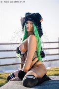 Foto Annunci Trans Napoli Kika Doncato 393 7317905 - 95