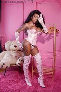 Foto Annunci Trans Padova Campbell 393 3357541 - 18