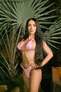 Foto Annunci Trans Roma Pamelita 331 1507952 - 48