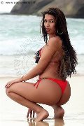 Foto Annunci Trans Salvador Bahia Thaissa 0055 973701609 - 26