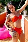 Foto Annunci Trans Senigallia Luna Marks Pornostar 334 3717752 - 87
