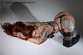 Foto Annunci Trans Torino Foxxy Jasmine 347 2169085 - 16
