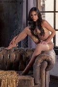 Foto Annunci Trans Torino Larissa Diaz 328 3737247 - 16