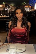 Foto Annunci Trans Verona Gabriela Lemos 393 2598874 - 22