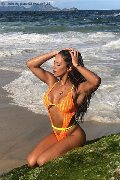 Foto Annunci Transescort Avignone Natty Collin 0033 785226903 - 28