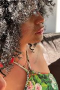 Foto Annunci Transescort Bologna Serena 327 1309016 - 10
