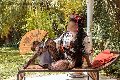 Foto Annunci Transescort Firenze Diana Ferraz 327 1287566 - 59