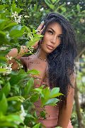 Foto Annunci Transescort Firenze Mandy Asiatica 327 0531479 - 2
