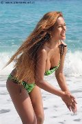 Foto Annunci Transescort Liisa Asiatica Ladyboy 348 9026722 - 311